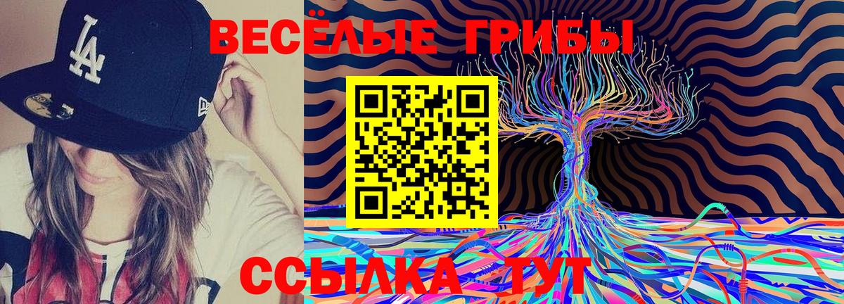 Галлюциногенные грибы MAGIC MUSHROOMS  Вход с VPN  Семёнов 