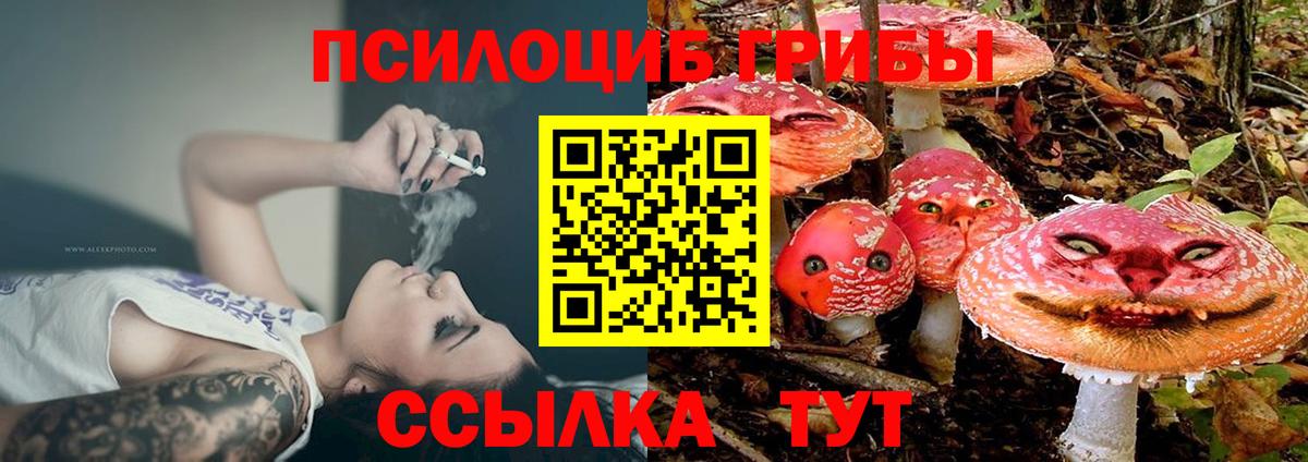 Псилоцибиновые грибы Psilocybe Семёнов